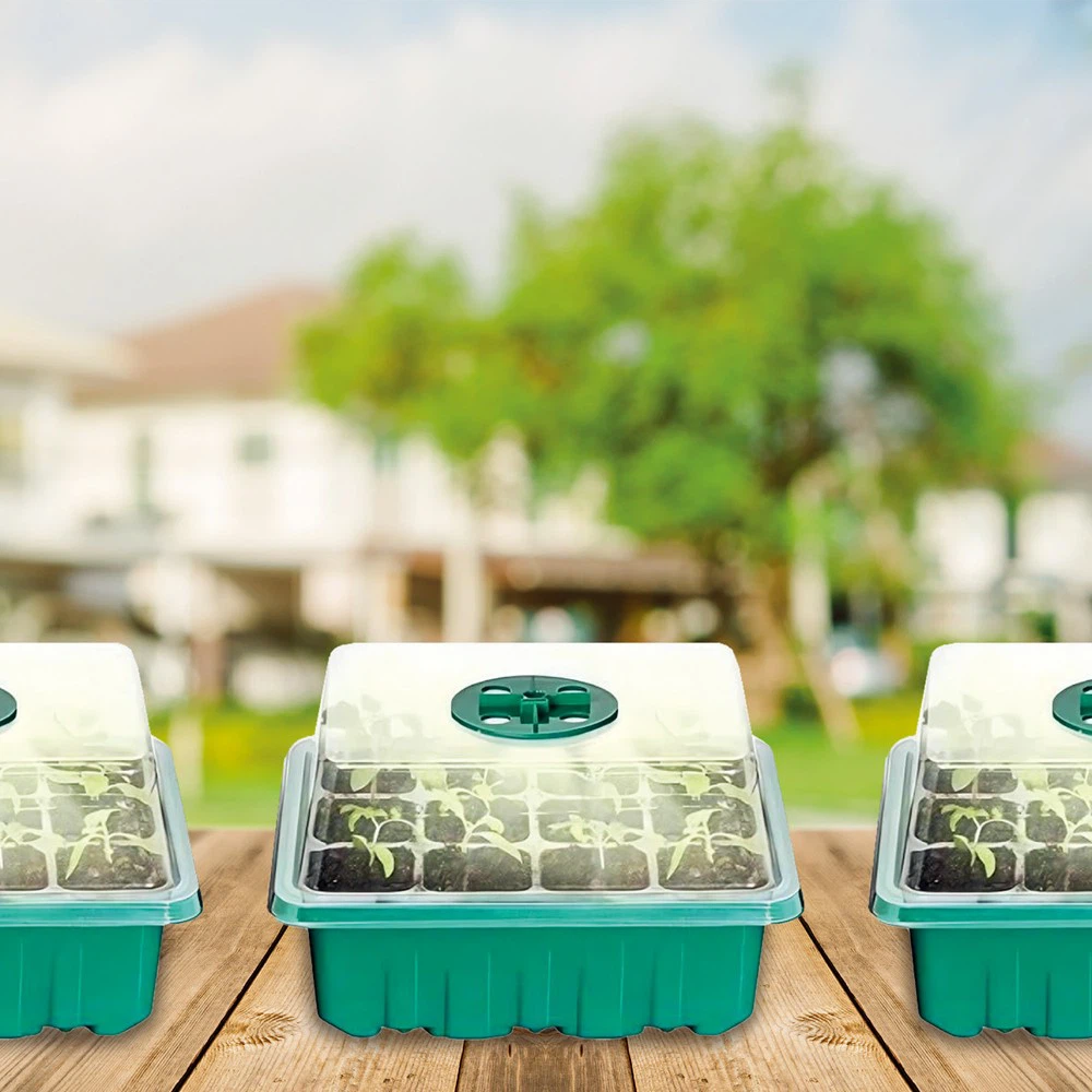 mini propagator with grow light